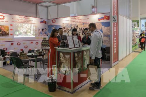 Effort pour faire pénétrer des produits vietnamiens en Russie ảnh 1 Effort pour faire pénétrer des produits vietnamiens en Russie ảnh 1