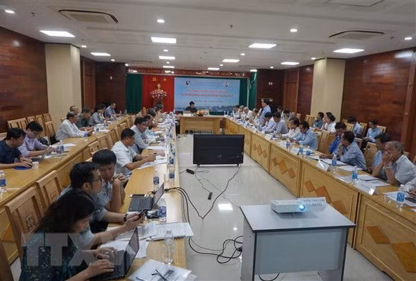 Consultation nationale à propos du projet hydroélectrique de Pak Lay du Laos ảnh 1