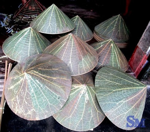 Les chapeaux coniques, charme iconique de Huê ảnh 3