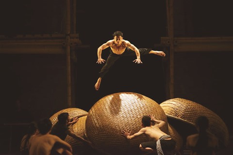 Quand le cirque vietnamien fait son show à l’étranger ảnh 2