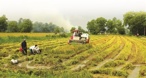 L’édification de la nouvelle ruralité, mission accomplie avant terme ảnh 1 L’édification de la nouvelle ruralité, mission accomplie avant terme ảnh 1