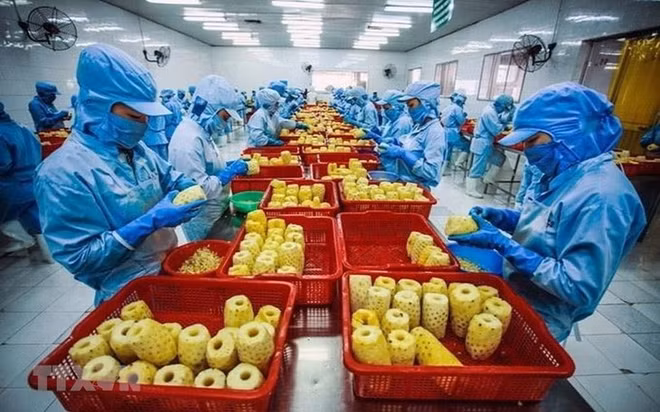 Forte augmentation des exportations vers les États-Unis en février 2023 ảnh 1 Forte augmentation des exportations vers les États-Unis en février 2023 ảnh 1