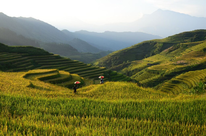 Dix destinations spectaculaires au Vietnam, selon The Travel ảnh 1