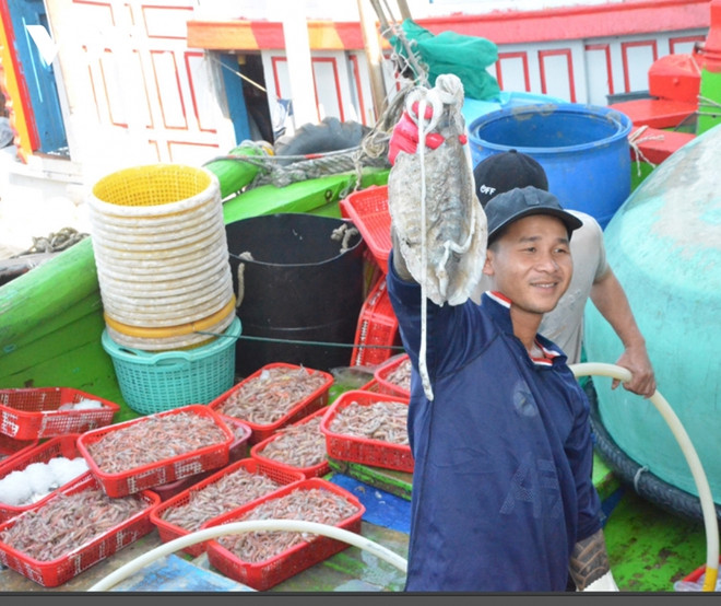 Les pêcheurs hauturiers démarrent l'année du Chat en fanfare ảnh 1