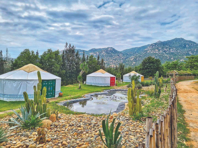 Tanyoli, une steppe mongole à Ninh Thuân ảnh 1