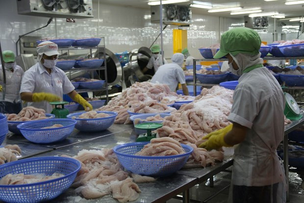 Les entreprises vietnamiennes et russes élargissent leur coopération dans les domaines potentiels ảnh 2 Les entreprises vietnamiennes et russes élargissent leur coopération dans les domaines potentiels ảnh 2