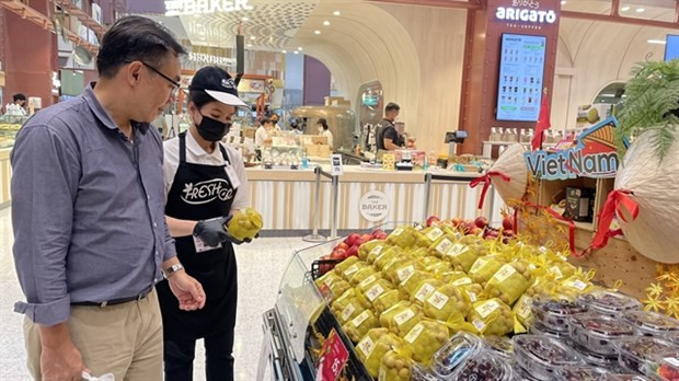 Les longanes vietnamiens trouvent des clients sur le marché thaïlandais ảnh 1 Les longanes vietnamiens trouvent des clients sur le marché thaïlandais ảnh 1