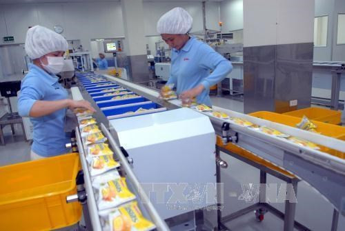 Les ventes d'Orion au Vietnam ont atteint un record au premier semestre ảnh 1 Les ventes d'Orion au Vietnam ont atteint un record au premier semestre ảnh 1