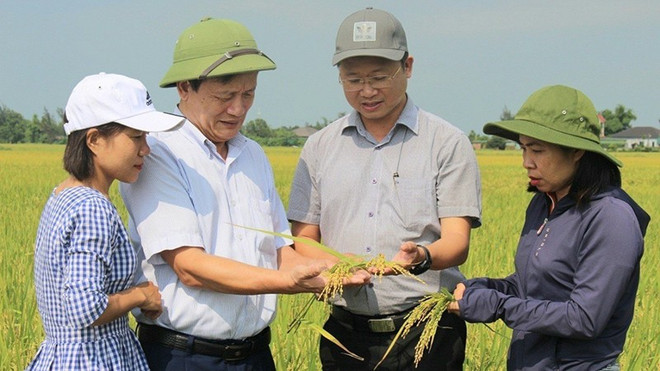 Le Vietnam passe à l'agriculture verte ảnh 2 Le Vietnam passe à l'agriculture verte ảnh 2