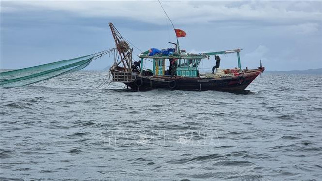 Quang Ninh confisquera les véhicules et produits de pêche illégaux à partir du 1er septembre ảnh 1 Quang Ninh confisquera les véhicules et produits de pêche illégaux à partir du 1er septembre ảnh 1