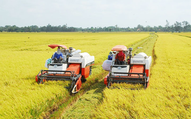 Le Vietnam passe à l'agriculture verte ảnh 1 Le Vietnam passe à l'agriculture verte ảnh 1