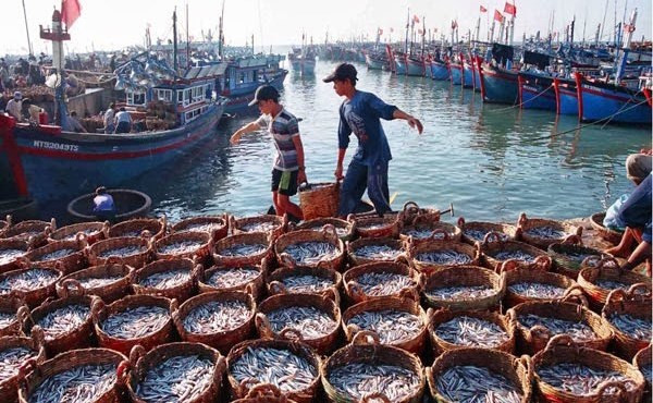 INN : Tien Giang suit les recommandations sur la prévention de la pêche illégale ảnh 1