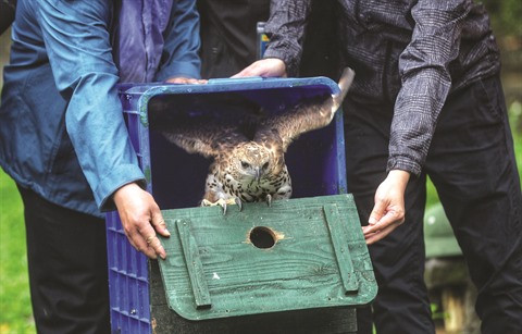 Les Vietnamiens veulent bannir les marchés d’animaux sauvages ảnh 1 Les Vietnamiens veulent bannir les marchés d’animaux sauvages ảnh 1