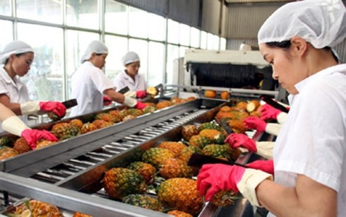 2,64 milliards de dollars d'exportations pour les fruits et légumes ảnh 1 2,64 milliards de dollars d'exportations pour les fruits et légumes ảnh 1