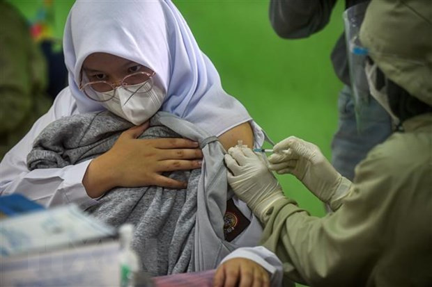 COVID-19: l'Indonésie appelle à l'aide, submergée par la flambée du variant Delta ảnh 1 COVID-19: l'Indonésie appelle à l'aide, submergée par la flambée du variant Delta ảnh 1