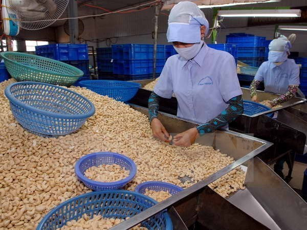 Binh Phuoc a réalisé une exportation excédentaire de plus de 400 millions d’USD en 6 mois ảnh 1 Binh Phuoc a réalisé une exportation excédentaire de plus de 400 millions d’USD en 6 mois ảnh 1