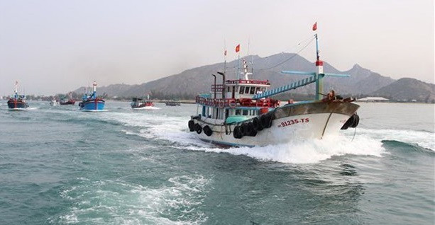 Le Vietnam est déterminé à faire retirer le « carton jaune » sur la pêche INN ảnh 2 Le Vietnam est déterminé à faire retirer le « carton jaune » sur la pêche INN ảnh 2