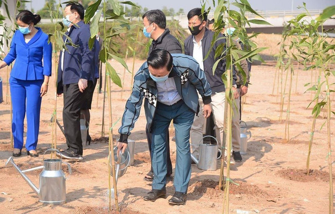 Tree Map, base de données sur les arbres développée en réponse au programme d'un milliard d'arbres ảnh 1 Tree Map, base de données sur les arbres développée en réponse au programme d'un milliard d'arbres ảnh 1