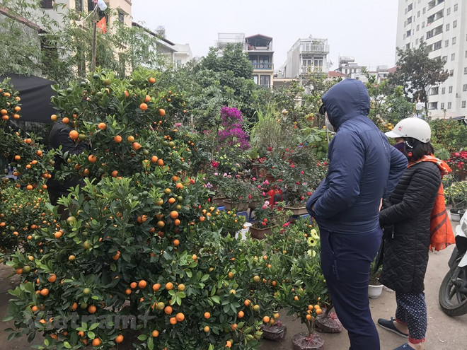 Les marchés traditionnels à l’occasion du Têt/VN+ ảnh 1 Les marchés traditionnels à l’occasion du Têt/VN+ ảnh 1