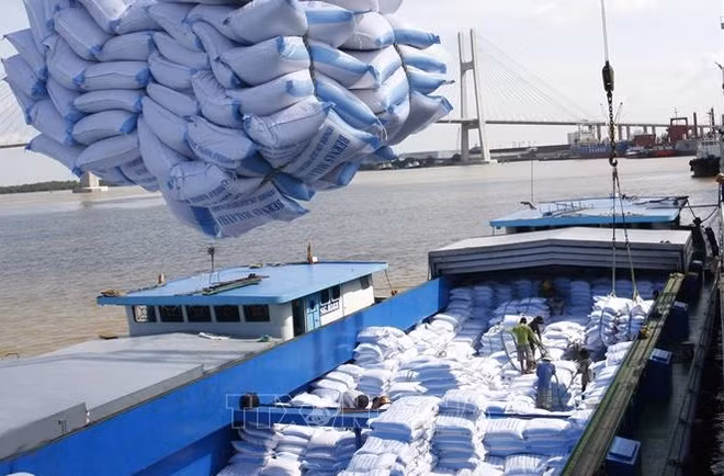 De belles promesses pour les exportations de riz ảnh 1 De belles promesses pour les exportations de riz ảnh 1