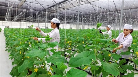 Édification de la Nouvelle ruralité à Thanh Hoa ảnh 1 Édification de la Nouvelle ruralité à Thanh Hoa ảnh 1