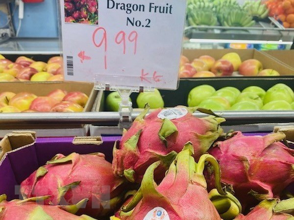 Les consommateurs australiens adorent le fruit du dragon vietnamien ảnh 1 Les consommateurs australiens adorent le fruit du dragon vietnamien ảnh 1