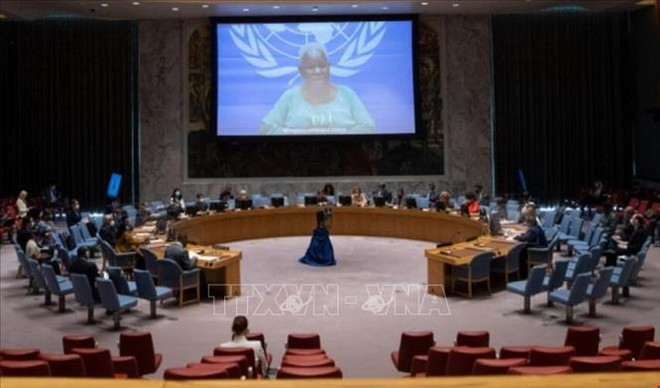 ONU : Le Vietnam salue les mesures pour assurer la stabilité politique au Congo ảnh 1 ONU : Le Vietnam salue les mesures pour assurer la stabilité politique au Congo ảnh 1