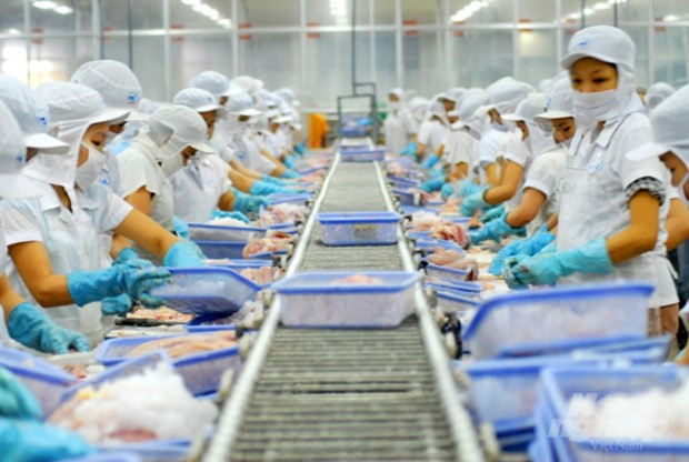 Près de 700 entreprises vietnamiennes éligibles à l'exportation des produits aquatiques vers Taïwan ảnh 1 Près de 700 entreprises vietnamiennes éligibles à l'exportation des produits aquatiques vers Taïwan ảnh 1