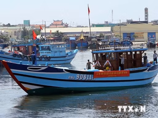 Bac Lieu : enrichir les connaissances juridiques des pêcheurs ảnh 1