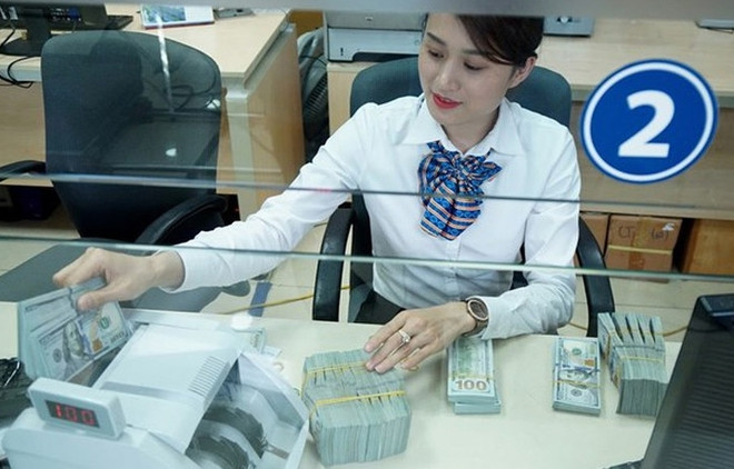 Forte hausse des devises étrangères transférées à Ho Chi Minh-Ville en 7 mois ảnh 1 Forte hausse des devises étrangères transférées à Ho Chi Minh-Ville en 7 mois ảnh 1