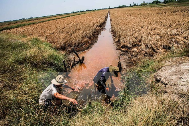 Sécheresse : optimisme prudent quant à l'ouverture d'un barrage par la Chine ảnh 1 Sécheresse : optimisme prudent quant à l'ouverture d'un barrage par la Chine ảnh 1