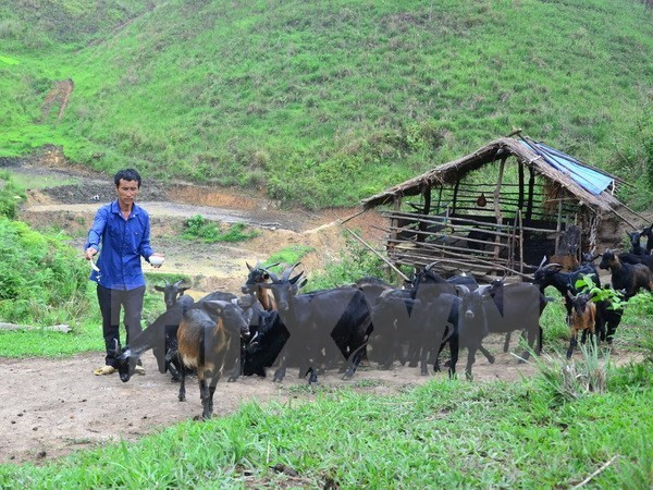 Vietnam : la réduction de la pauvreté est la 1ère priorité ảnh 1 Vietnam : la réduction de la pauvreté est la 1ère priorité ảnh 1