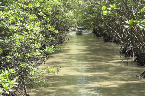 Hô Chi Minh-Ville : de grands potentiels inexploités ảnh 1