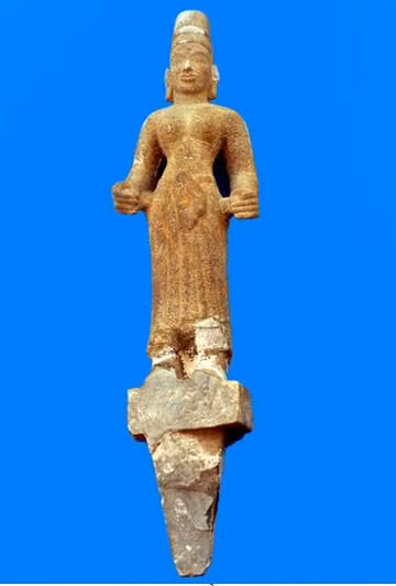 Le musée de Dông Thap ảnh 3
