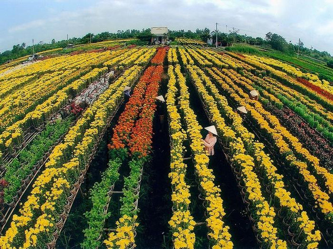 Les sites incontournables de Đông Thap ảnh 2 Les sites incontournables de Đông Thap ảnh 2