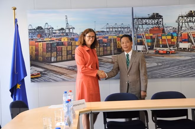 Finalisation de l’examen juridique de l’accord de libre-échange Vietnam-UE ảnh 1