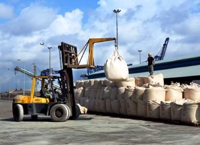Exportation de 34 millions de tonnes de ciment et de clinker en 2019 ảnh 1