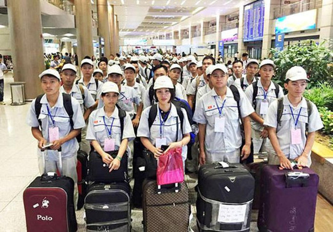 De plus en plus de Vietnamiens travaillent à l’étranger ảnh 1 De plus en plus de Vietnamiens travaillent à l’étranger ảnh 1