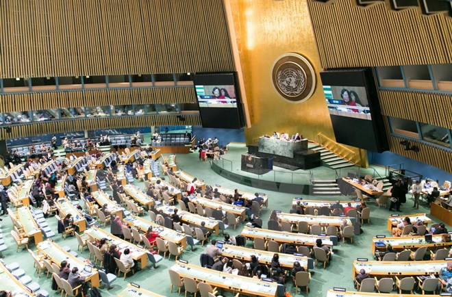 Acquis du Vietnam dans l'autonomisation des femmes ảnh 2 Acquis du Vietnam dans l'autonomisation des femmes ảnh 2