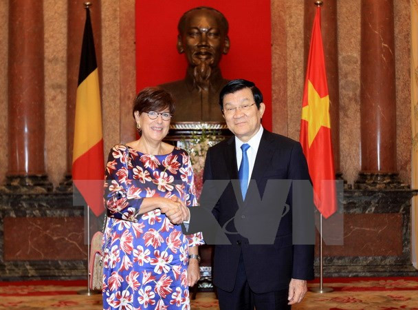 Le président Truong Tan Sang reçoit de nouveaux ambassadeurs ảnh 1 Le président Truong Tan Sang reçoit de nouveaux ambassadeurs ảnh 1