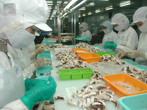 Céphalopodes: bond des exportations vietnamiennes au Japon ảnh 1