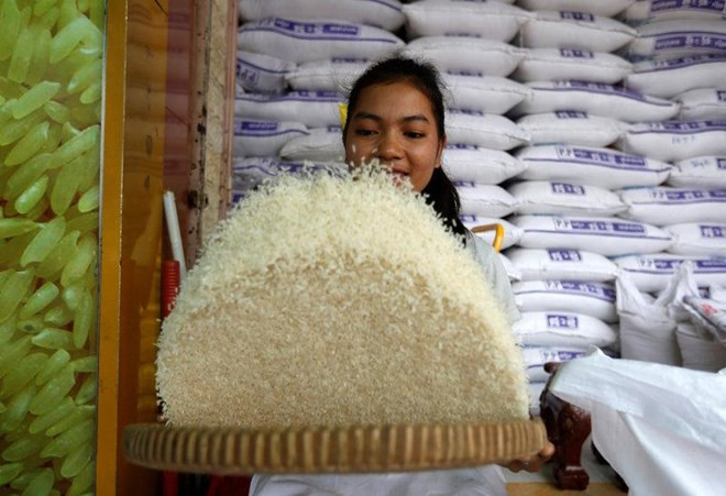 Le Cambodge exporte plus de 271.000 tonnes de riz au premier semestre de 2018 ảnh 1 Le Cambodge exporte plus de 271.000 tonnes de riz au premier semestre de 2018 ảnh 1