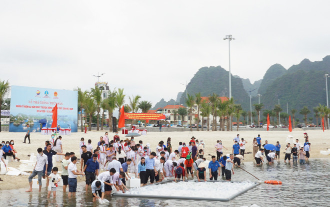 Quang Ninh lâche 2,3 millions d'alevins de poisson dans la baie de Bai Tu Long ảnh 1 Quang Ninh lâche 2,3 millions d'alevins de poisson dans la baie de Bai Tu Long ảnh 1