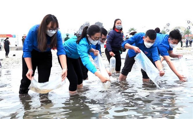 Quang Ninh lâche 2,3 millions d'alevins de poisson dans la baie de Bai Tu Long ảnh 2 Quang Ninh lâche 2,3 millions d'alevins de poisson dans la baie de Bai Tu Long ảnh 2
