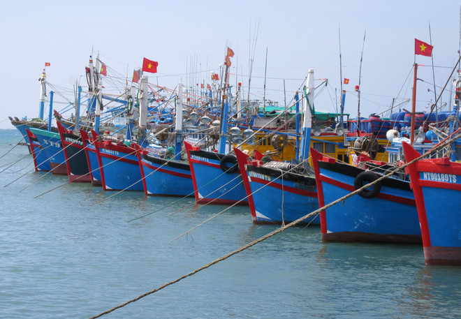 Pêche INN: Ben Tre déterminée à lever le carton jaune de la Commission européenne ảnh 1 Pêche INN: Ben Tre déterminée à lever le carton jaune de la Commission européenne ảnh 1