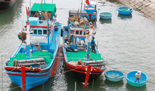 Pêche : le volume de produits aquatiques exploités estimé à 566.700 tonnes au 1er trimestre ảnh 1 Pêche : le volume de produits aquatiques exploités estimé à 566.700 tonnes au 1er trimestre ảnh 1