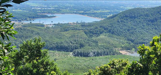 Programme de développement forestier durable pour la période 2021-2025 approuvé ảnh 1 Programme de développement forestier durable pour la période 2021-2025 approuvé ảnh 1