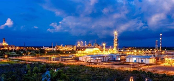 Ca Mau voit un développement fructueux après 25 ans ảnh 2