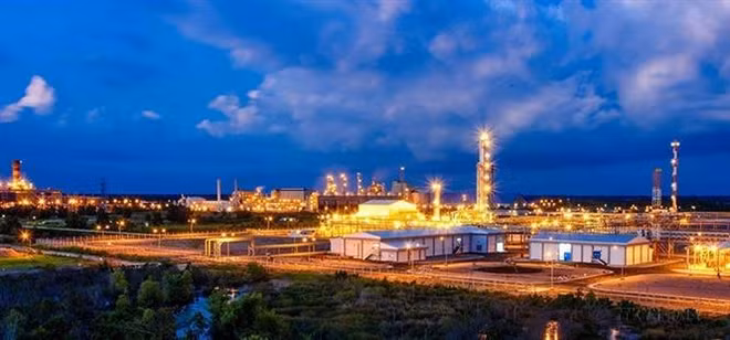 Ca Mau voit un développement fructueux après 25 ans ảnh 2