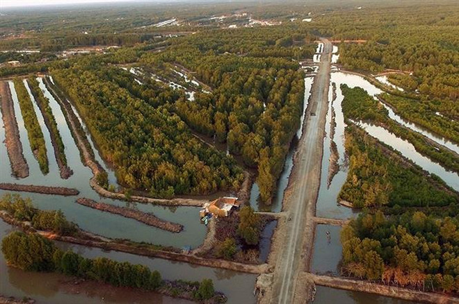 Ca Mau voit un développement fructueux après 25 ans ảnh 3